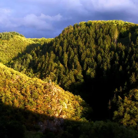 Wiedfluh In Waldbreitbach