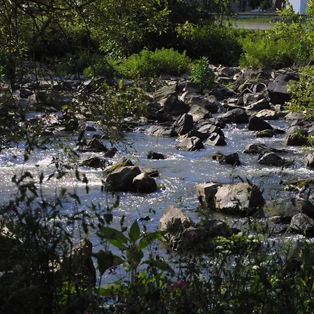 Wiedfluh In Waldbreitbach